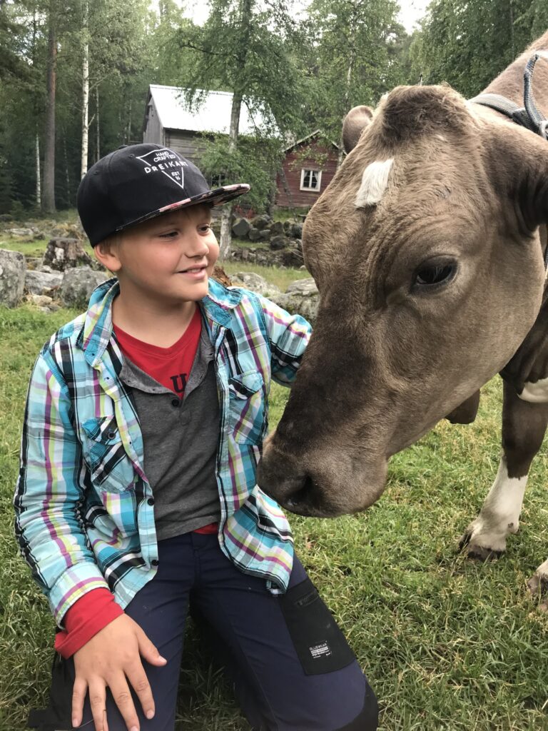 Dagläger på Krype fäbod